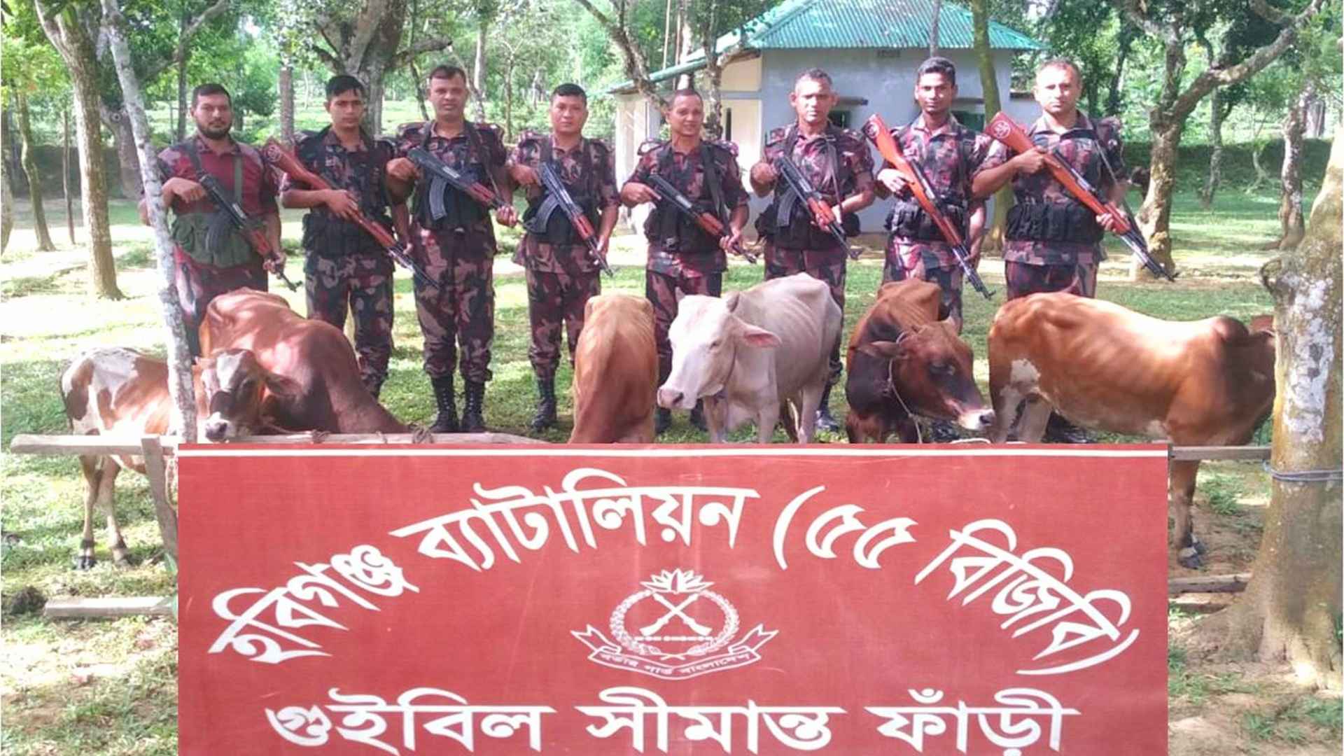 হবিগঞ্জে বিজিবির অভিযানে ৭০ লাখ টাকার ভারতীয় পণ্য ও মাদক জব্দ