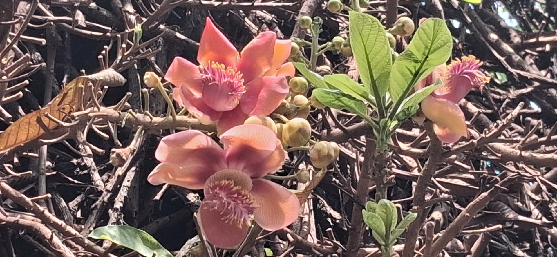 thumbnail_IMG-20250721-WA0003