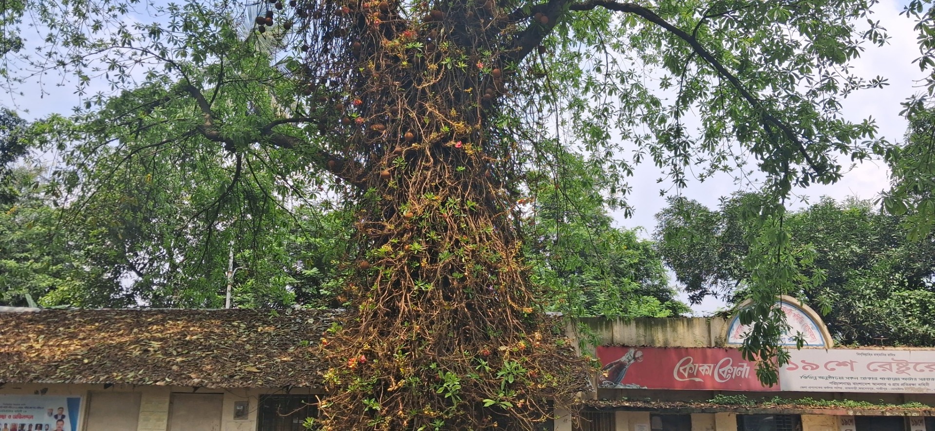 thumbnail_IMG-20250721-WA0018