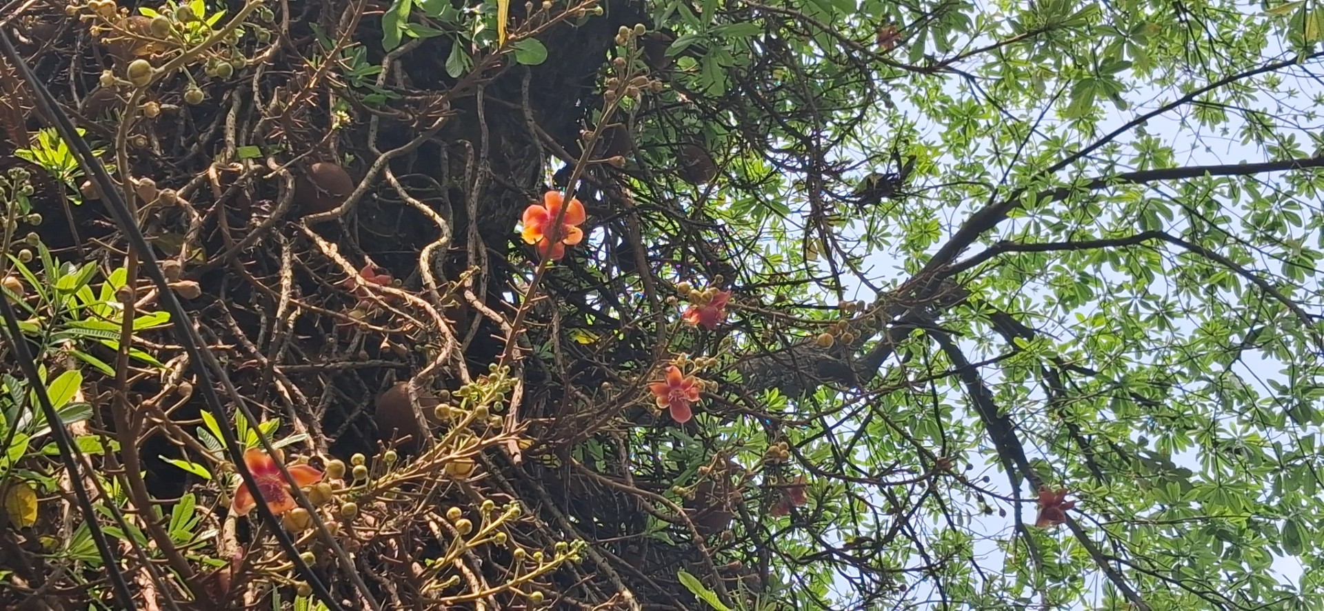 thumbnail_IMG-20250721-WA0020