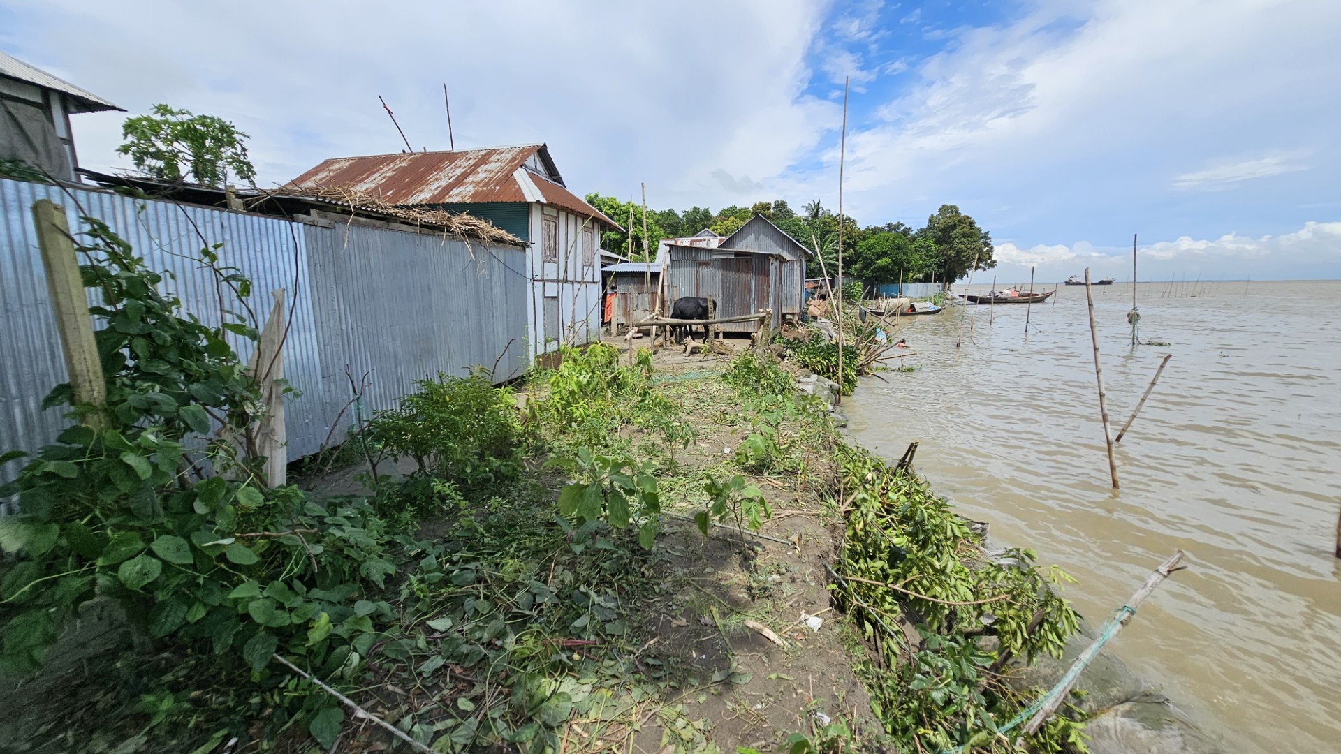 thumbnail_IMG-20250726-WA0025