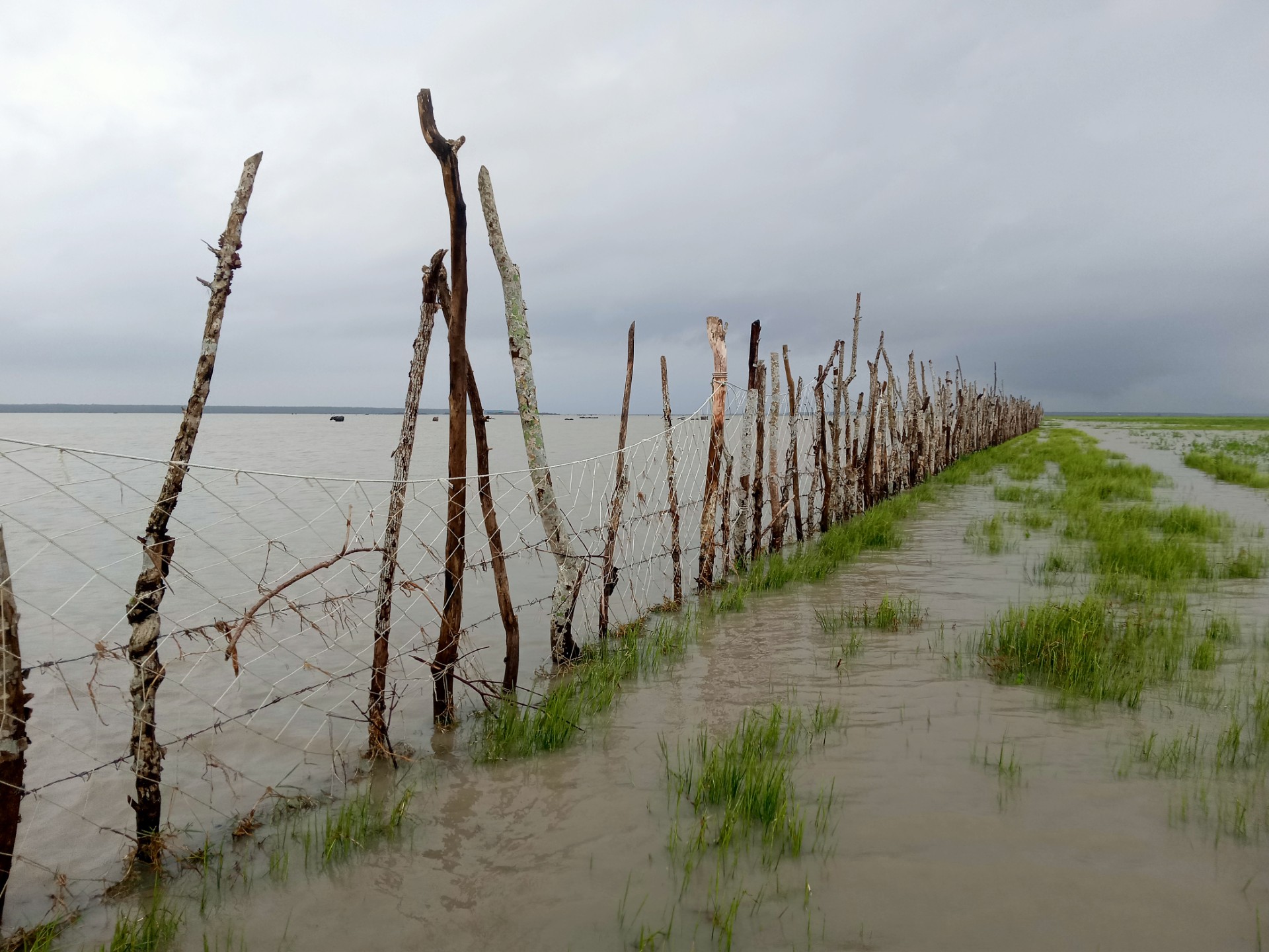 thumbnail_IMG20250709143503