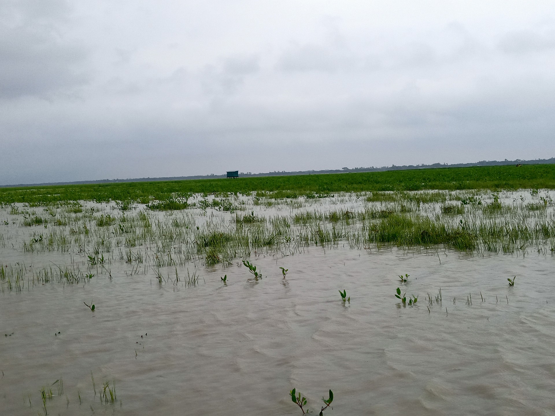 thumbnail_IMG20250709143529