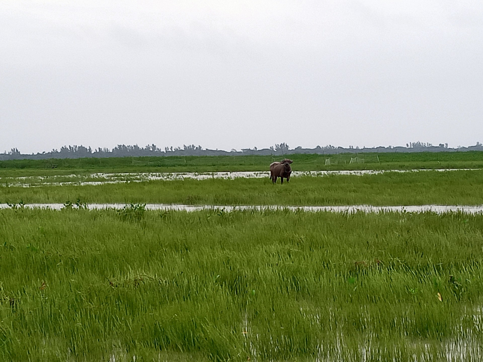 thumbnail_IMG20250709150619