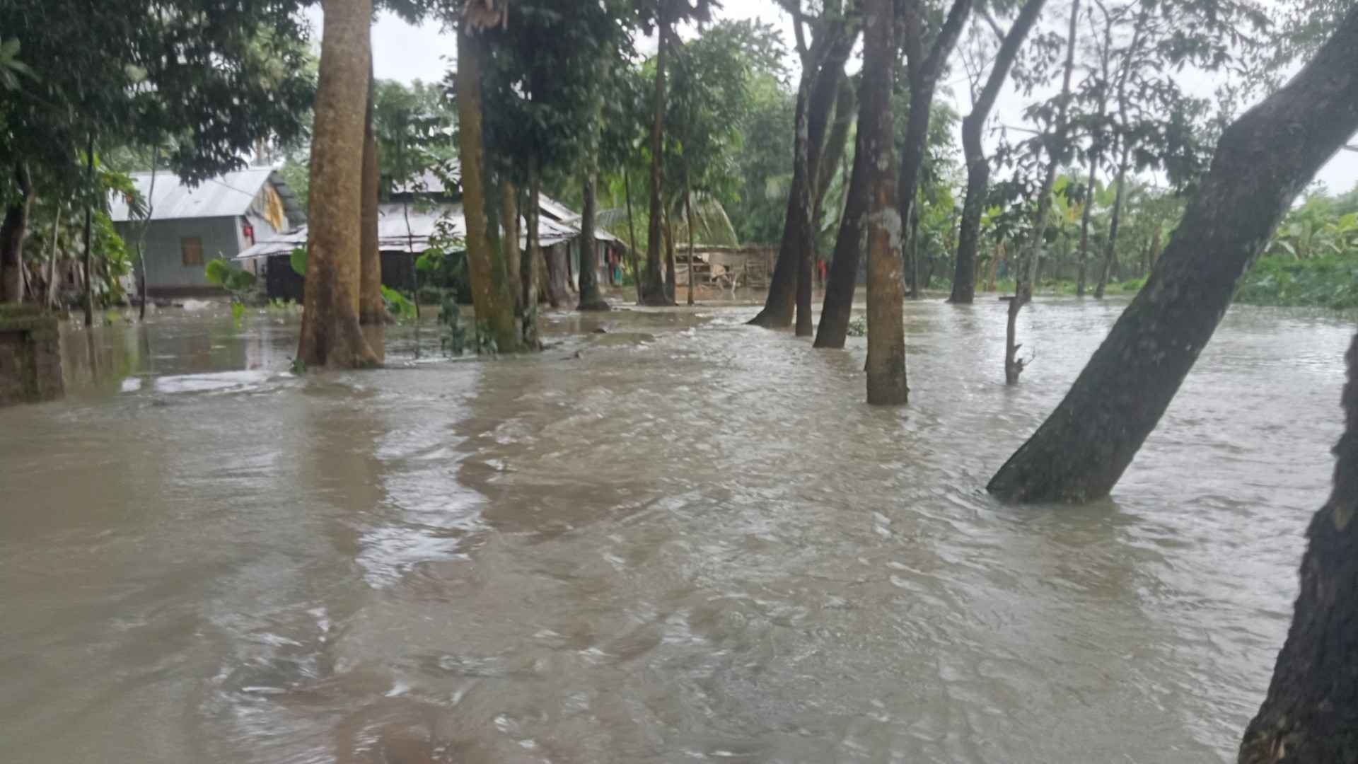 ঝালকাঠির গ্রামাঞ্চলে ঢুকছে পানি, বন্যার আশঙ্কা