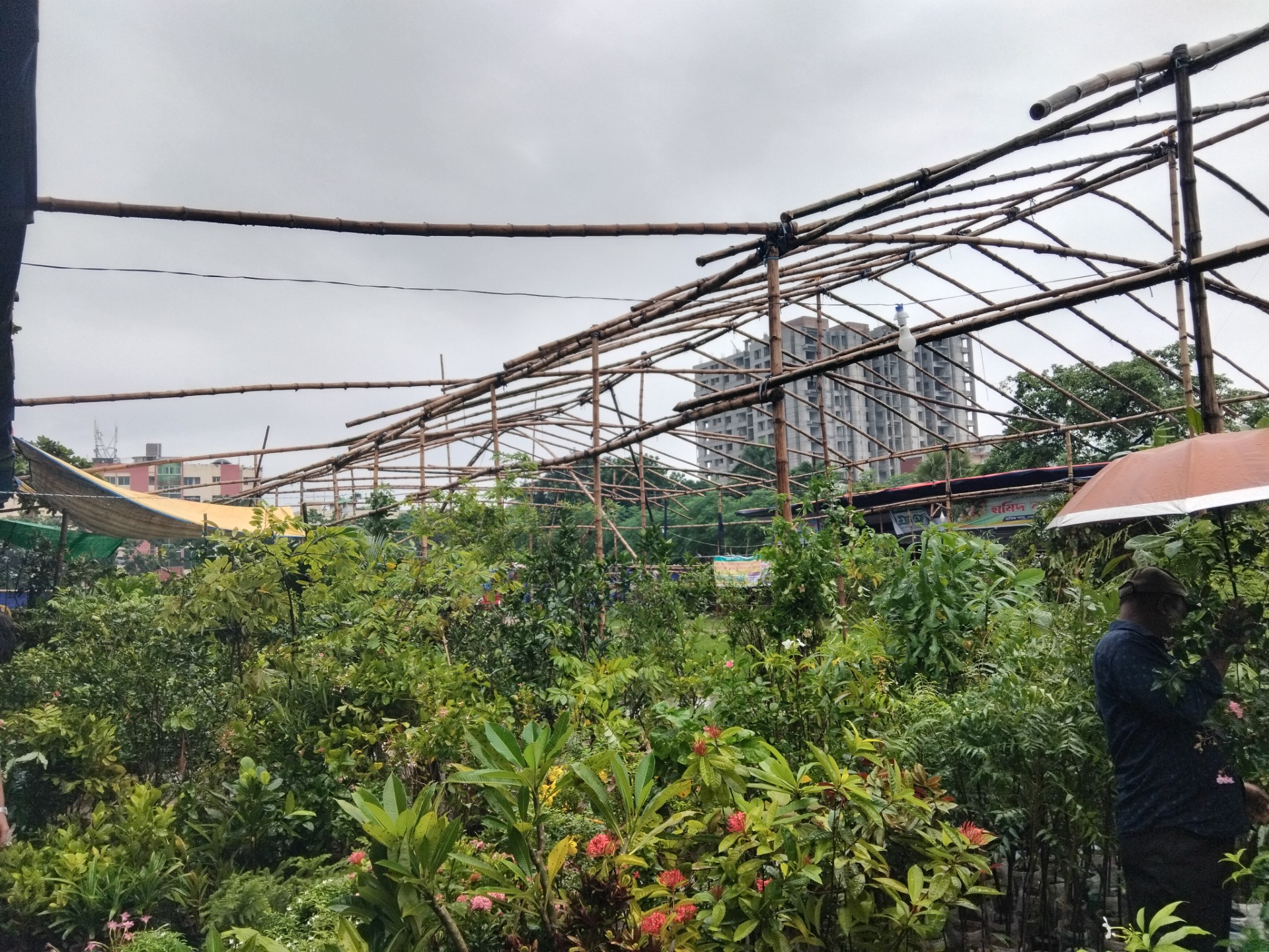 thumbnail_IMG_20250715_125946