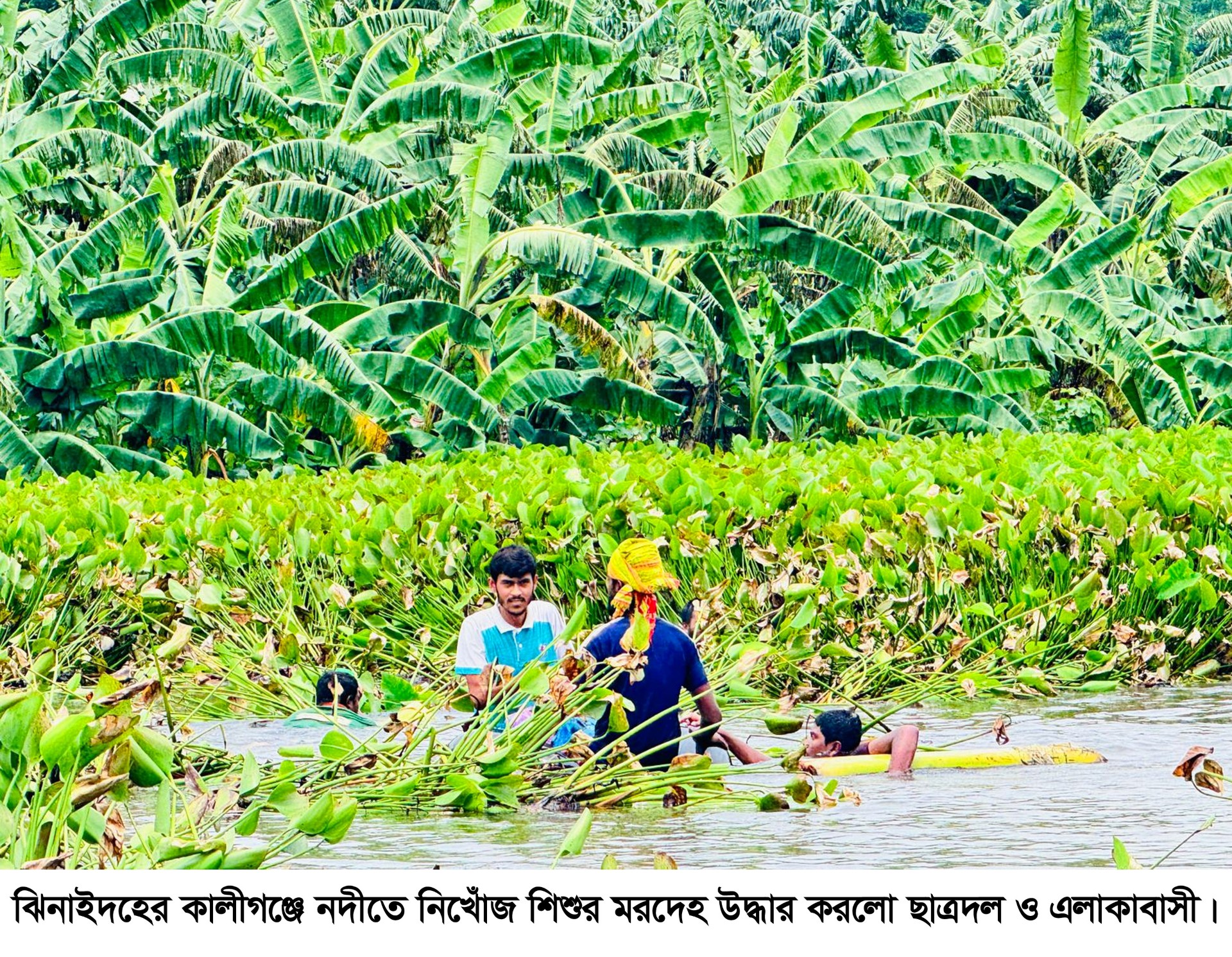 thumbnail_Kaligonj_Jhenaidah_16.07_(02)=Pic-01