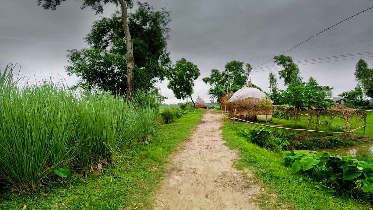 বর্ষাকাল