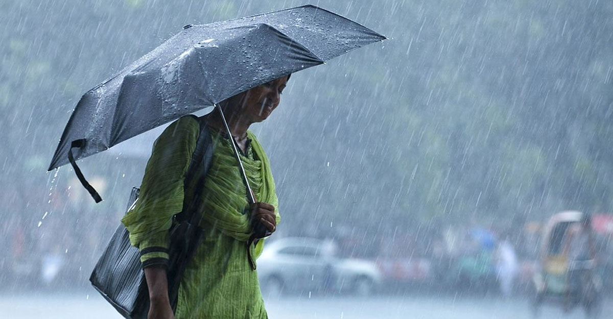 খবর_বৃষ্টি