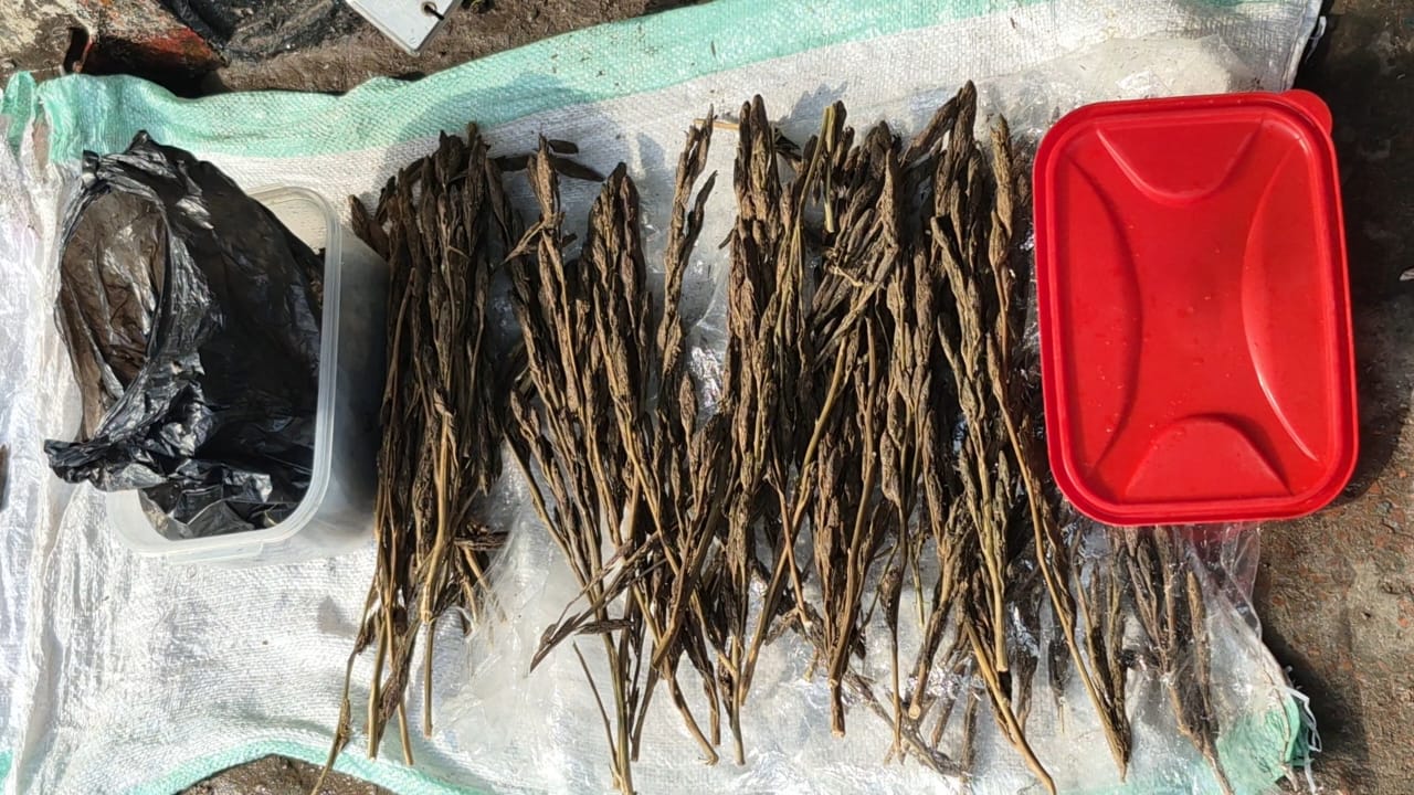 1000031771 1000031771