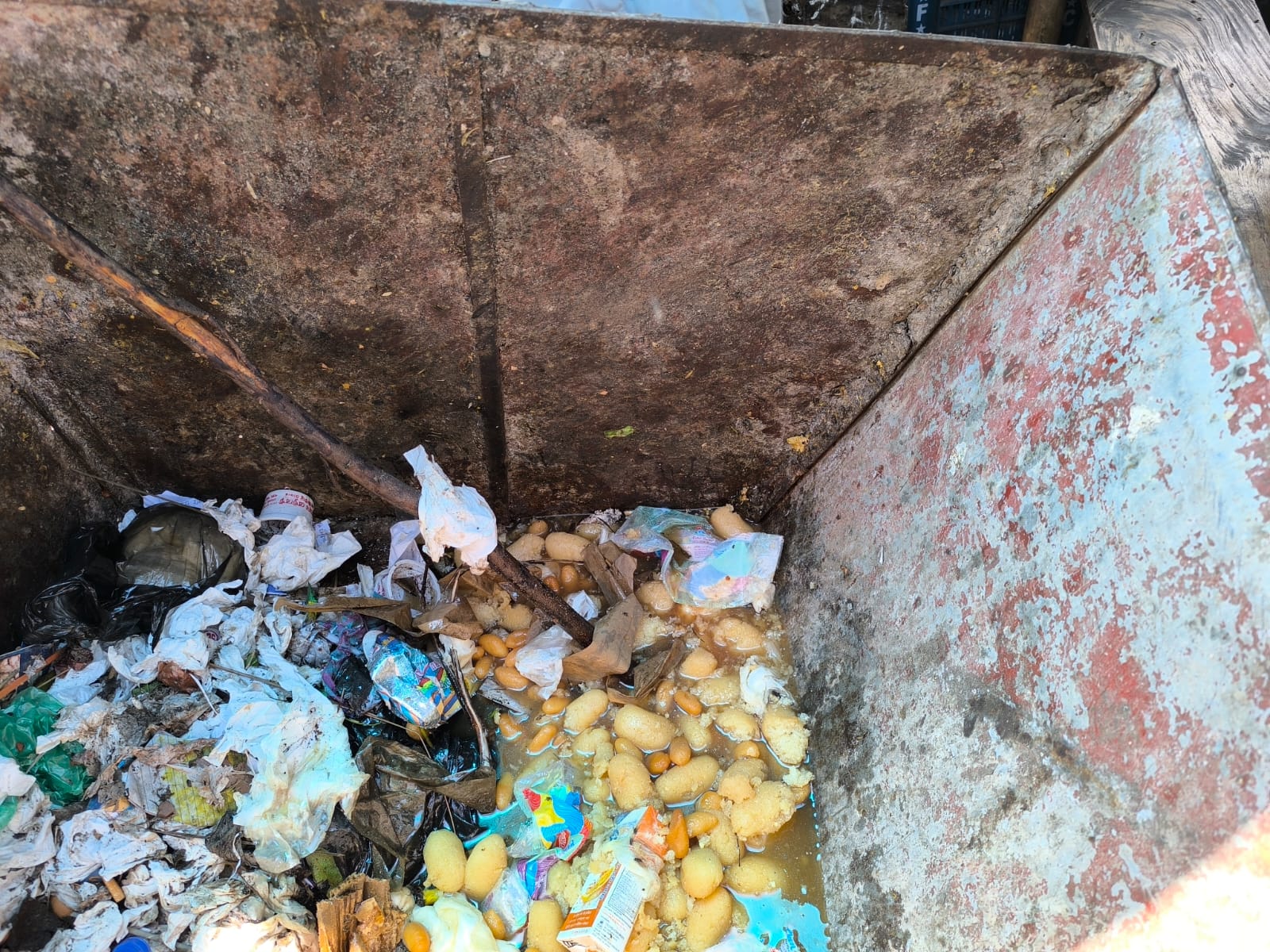 1000044052 1000044052