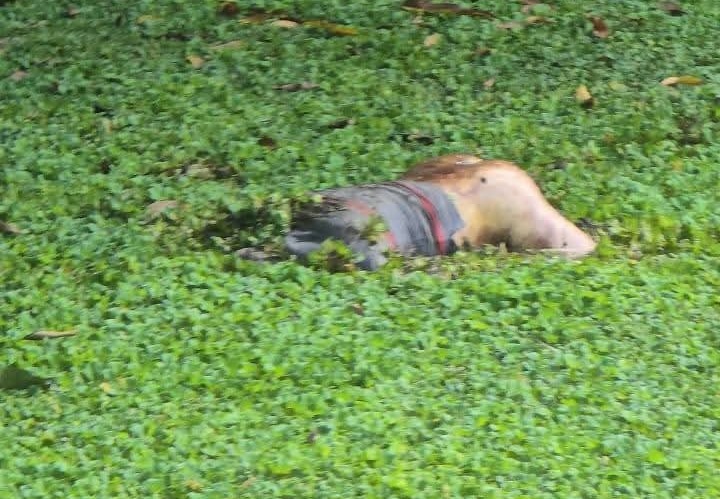 1000232928 1000232928