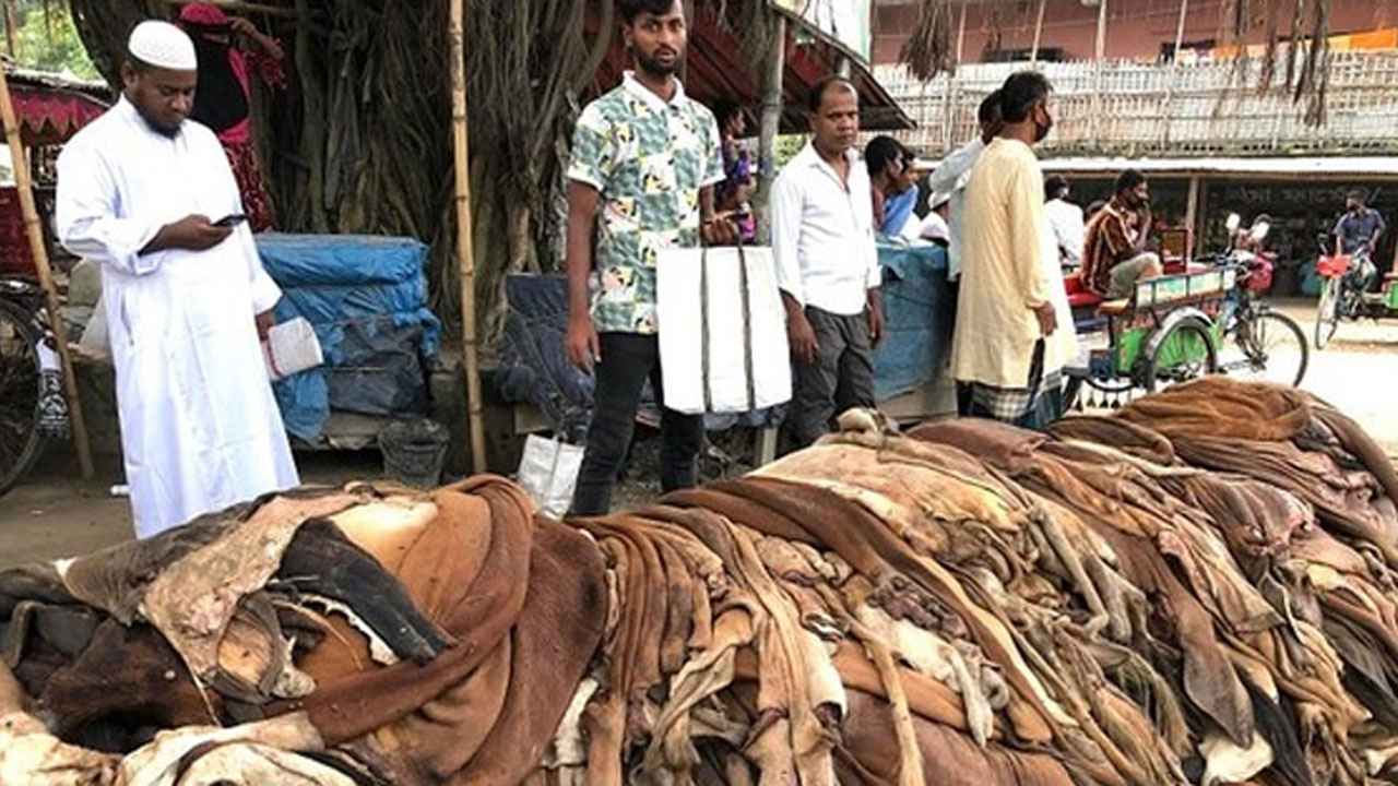 এতিমখানা ও লিল্লাহ বোডিংয়ে এবার সংরক্ষণ হয়েছে রেকর্ড পরিমাণ চামড়া