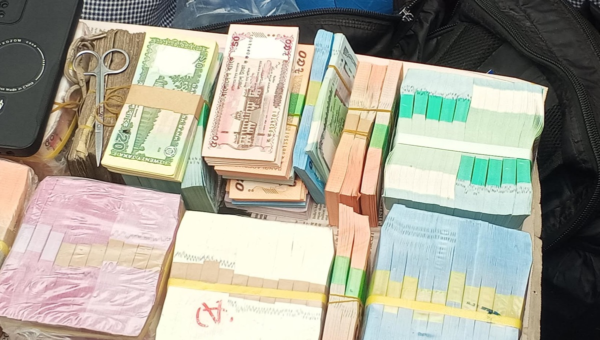 494579026_1264937918682547_3010616800135460121_n