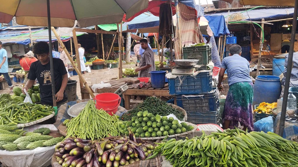 494832404_1405440040498211_6850799337731063199_n 494832404_1405440040498211_6850799337731063199_n