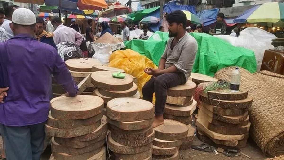 494838107_736585628712359_4410631543790417570_n