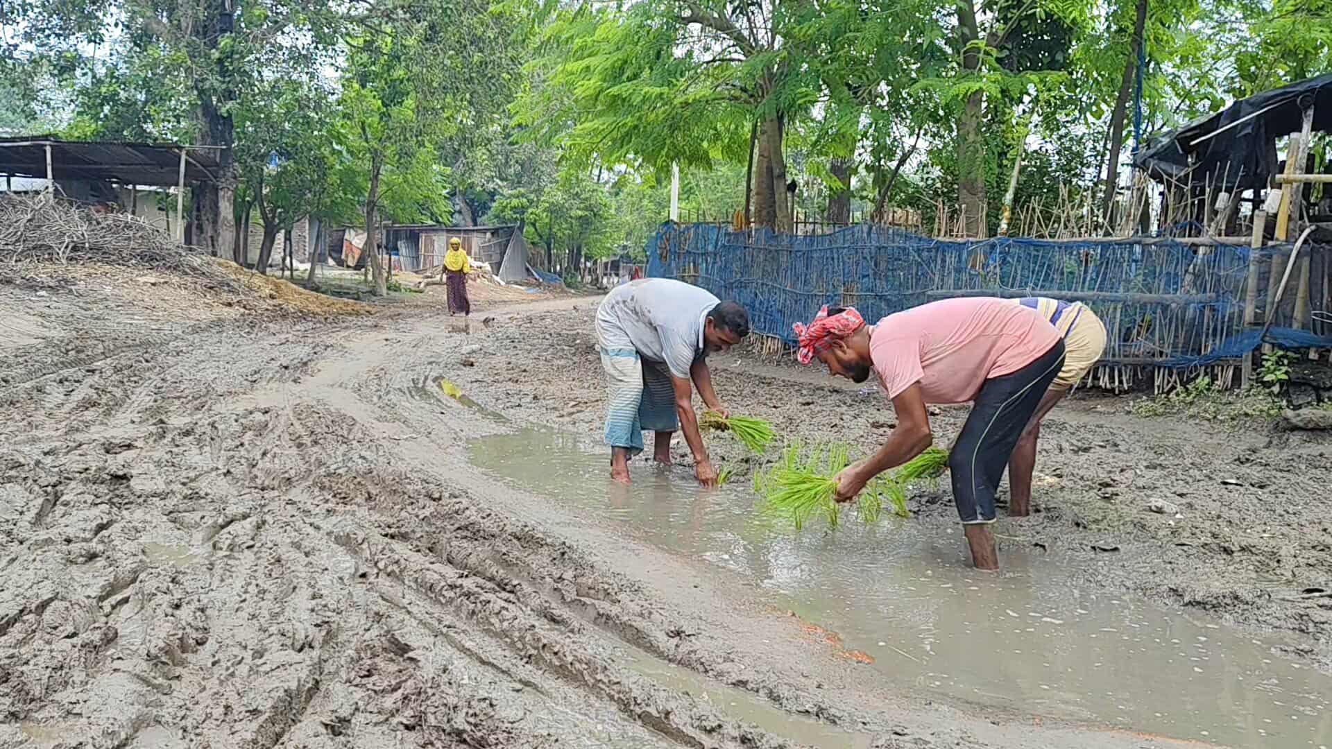 510396684_1243562130513665_6821687794646409008_n 510396684_1243562130513665_6821687794646409008_n