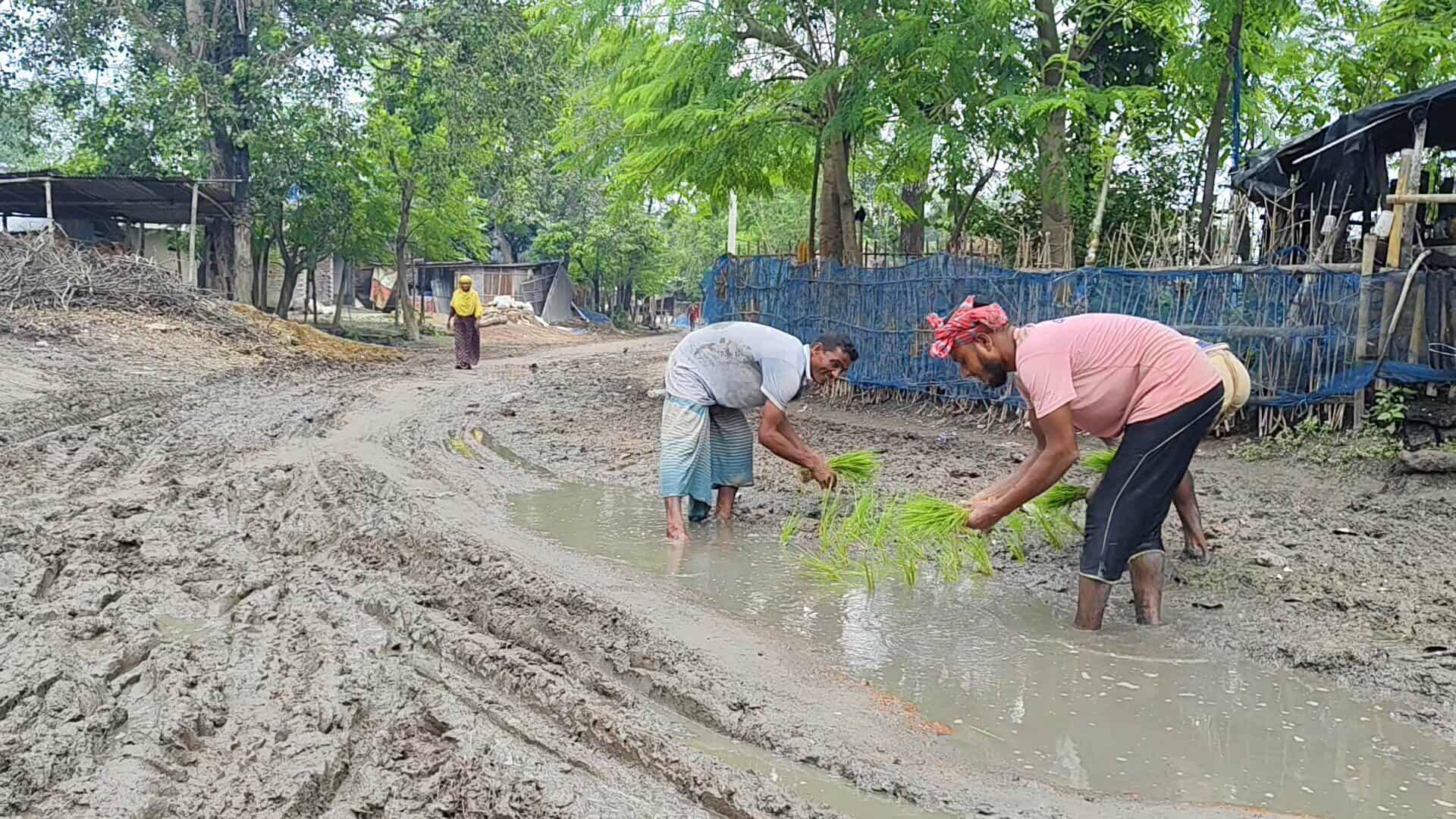 511200603_709219285408286_2523706470724113681_n 511200603_709219285408286_2523706470724113681_n