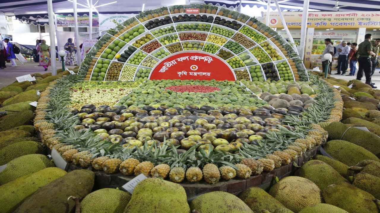 ৩ দিনব্যাপী জাতীয় ফল মেলা শুরু হচ্ছে বৃহস্পতিবার