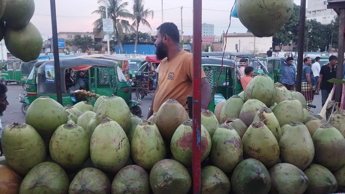 প্রচণ্ড তাপে ডাবের বাজারও উত্তপ্ত