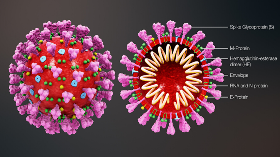 করোনার নতুন ঢেউ: যা ভাবছেন বিভিন্ন শ্রেণিপেশার মানুষ