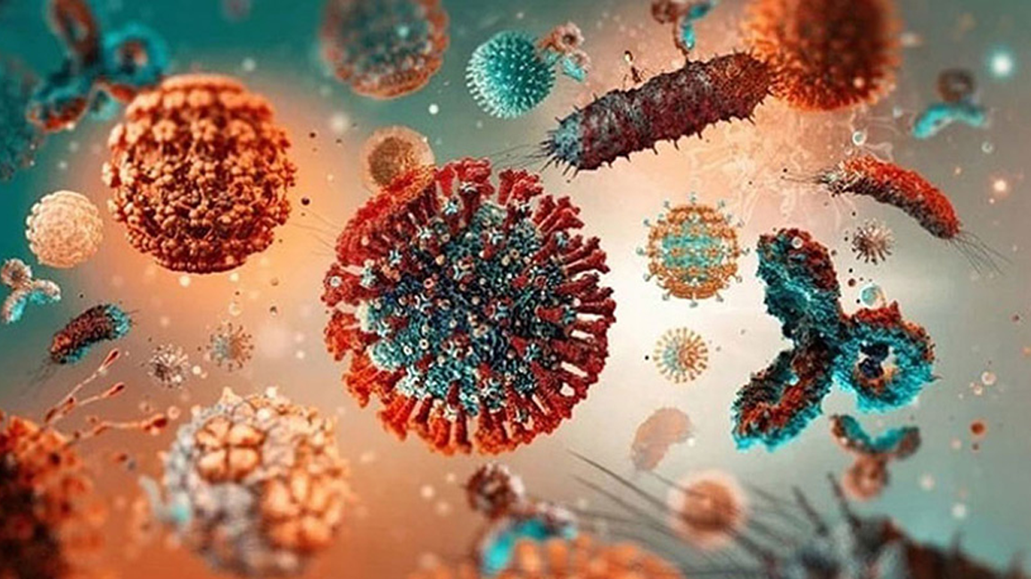 করোনায় এক দিনে ২ জনের মৃত্যু