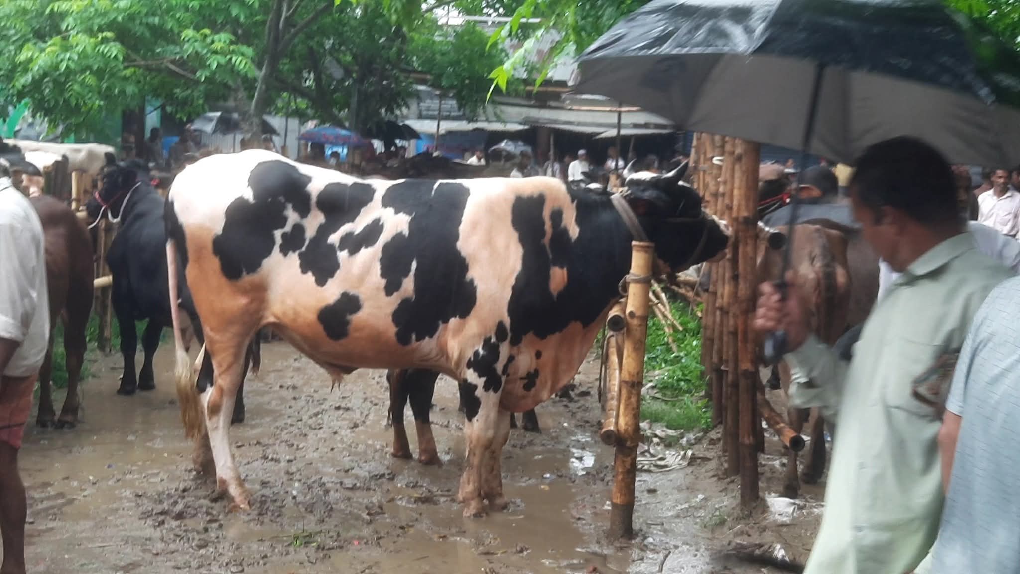 FB_IMG_1748684946489 FB_IMG_1748684946489