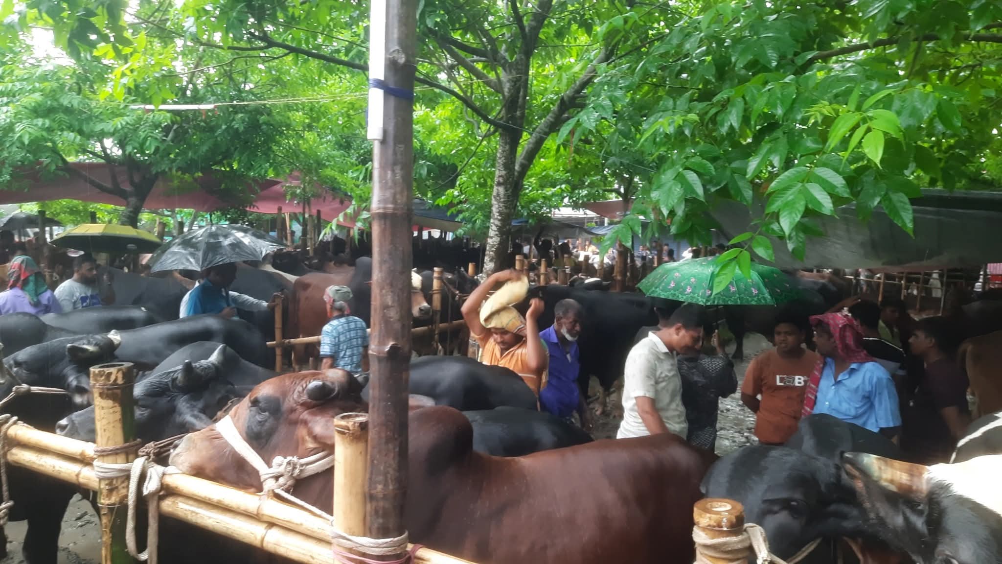 FB_IMG_1748684950676 FB_IMG_1748684950676