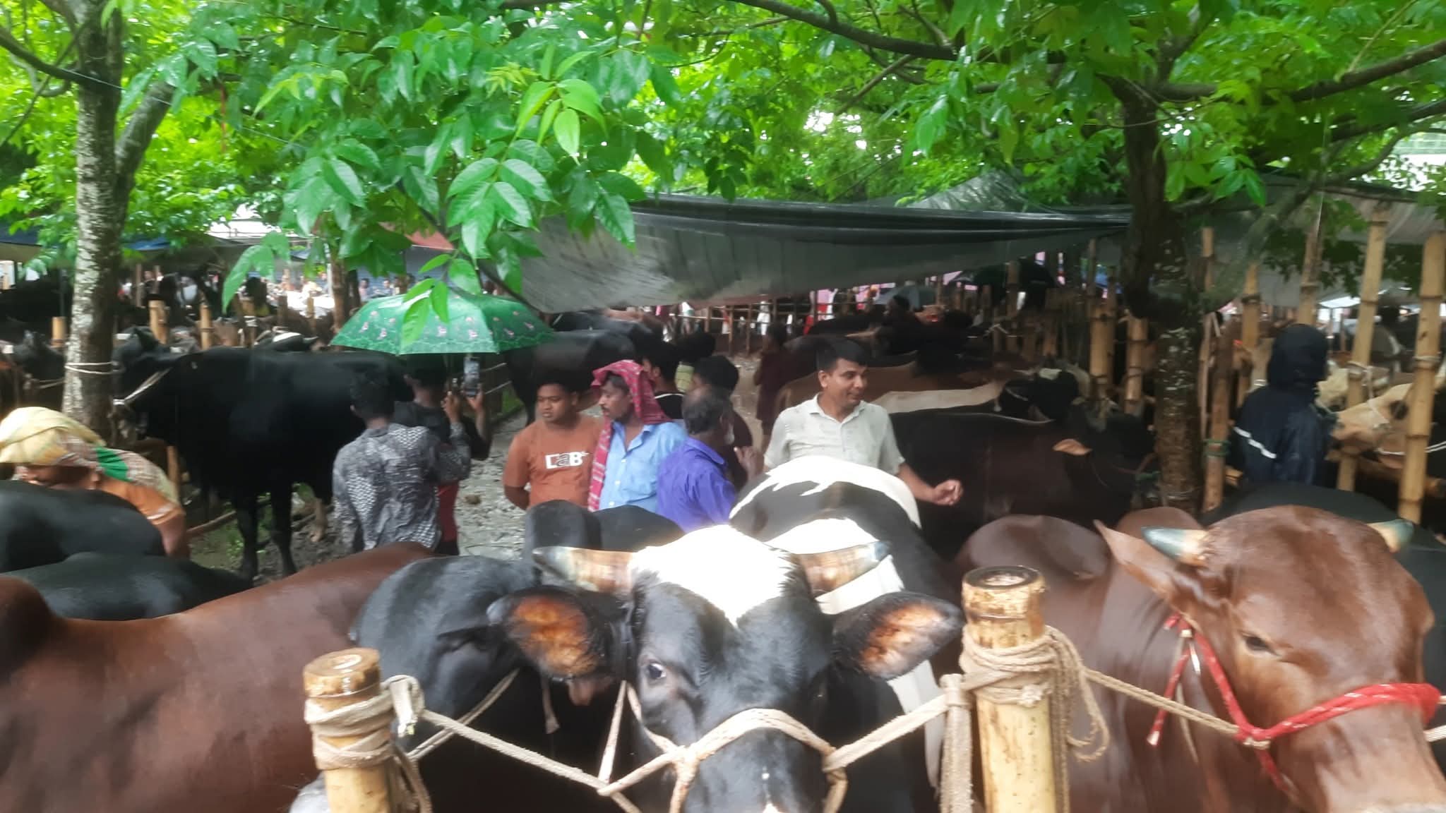 FB_IMG_1748684953517 FB_IMG_1748684953517