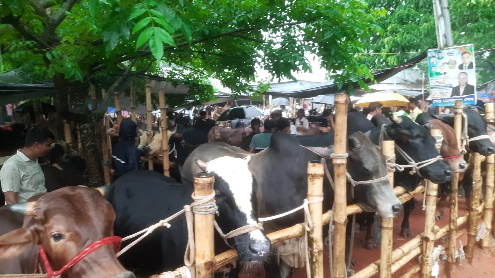 FB_IMG_1748684957032 FB_IMG_1748684957032