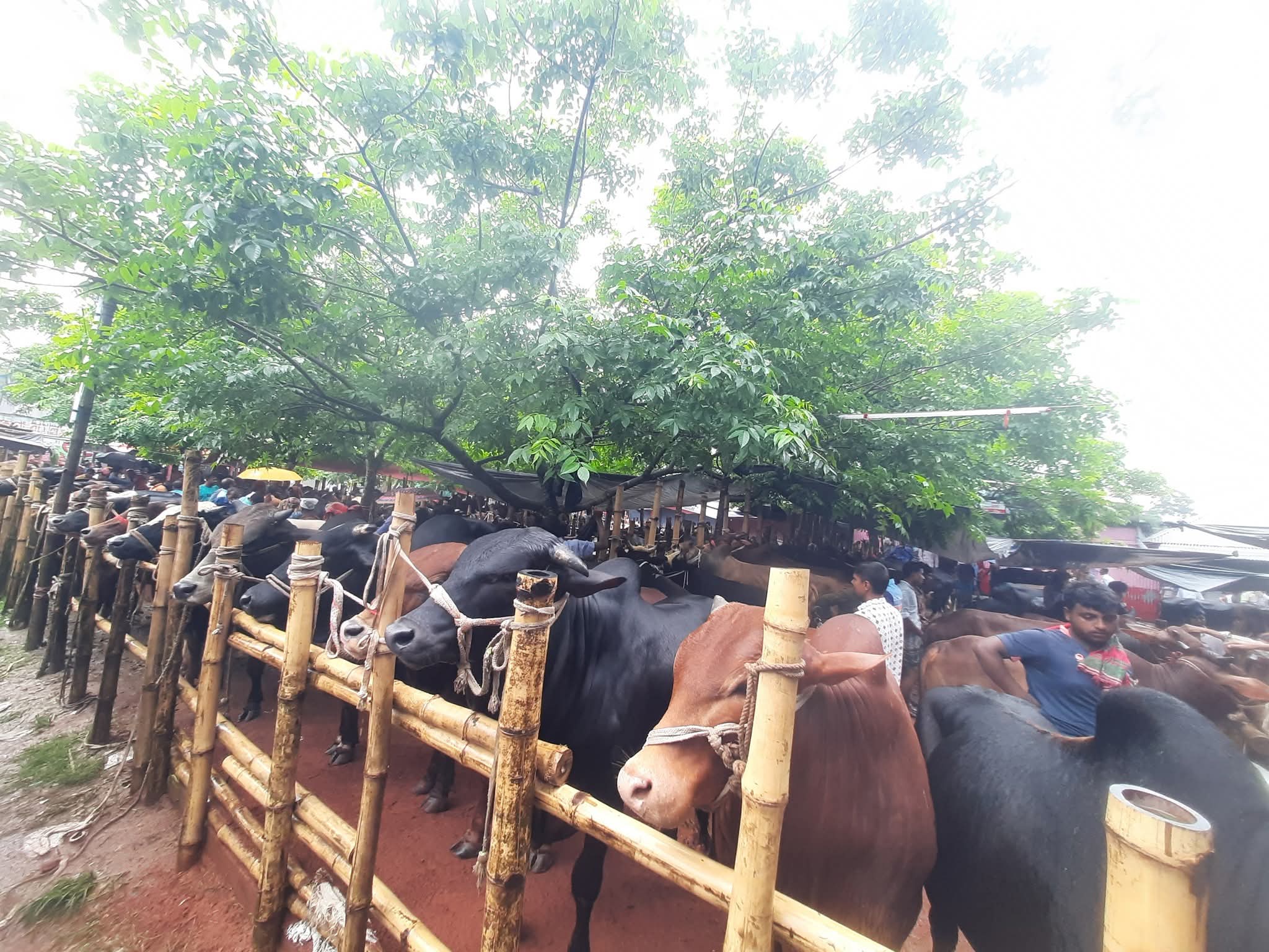 FB_IMG_1748684963237 FB_IMG_1748684963237