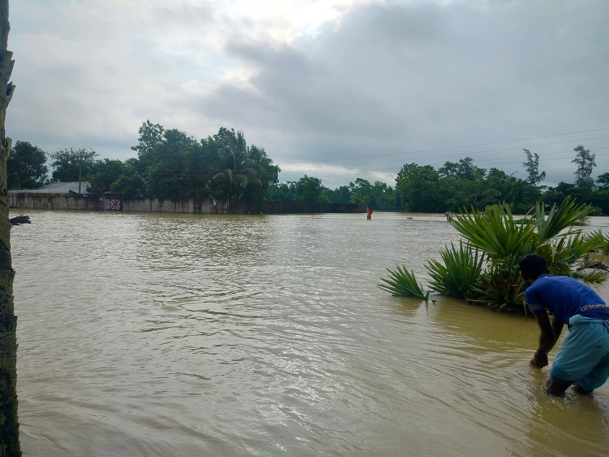 FB_IMG_1750391307759