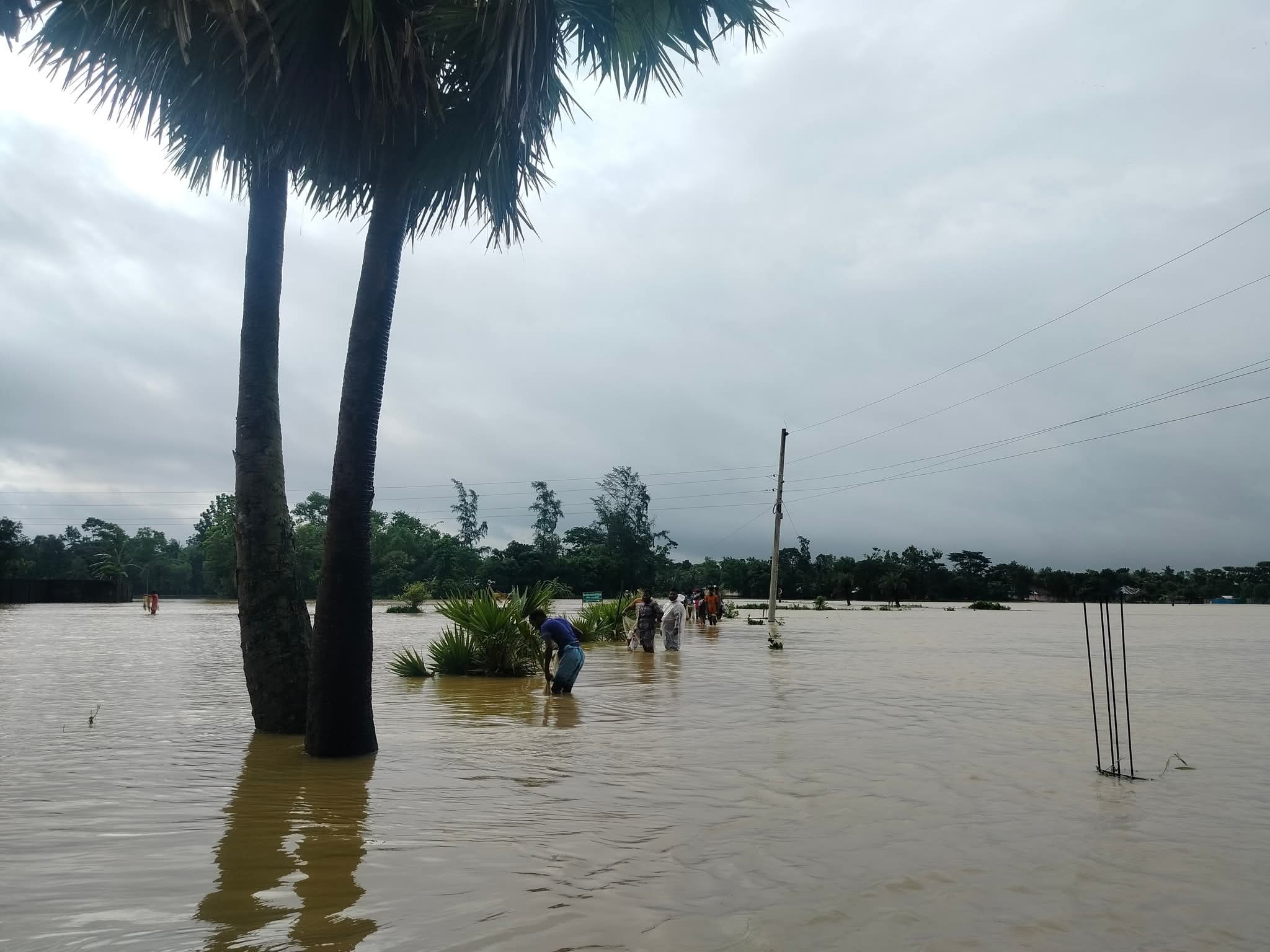 FB_IMG_1750391327690