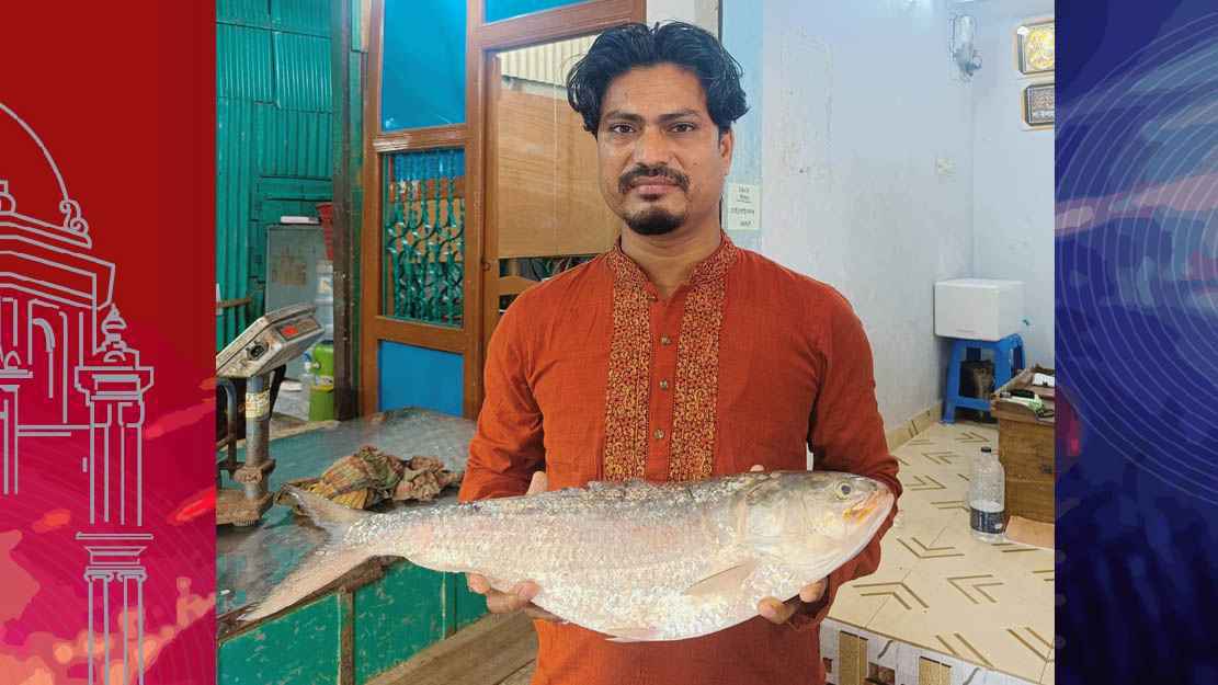 চাঁদপুরে এক ইলিশের দাম ১৩ হাজার টাকা