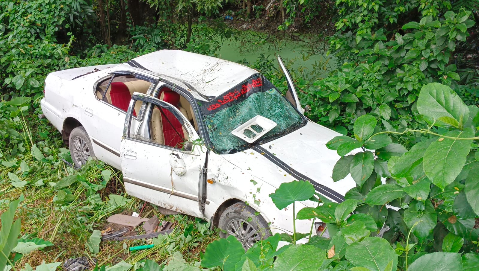 IMG-20250629-WA0016_(1)