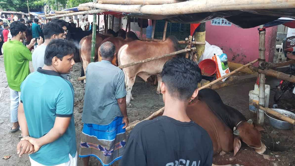 শেষ মুহূর্তে জমজমাট দেশের ৩৬০০ হাট, ১ লাখ কোটি বাণিজ্যের আশা