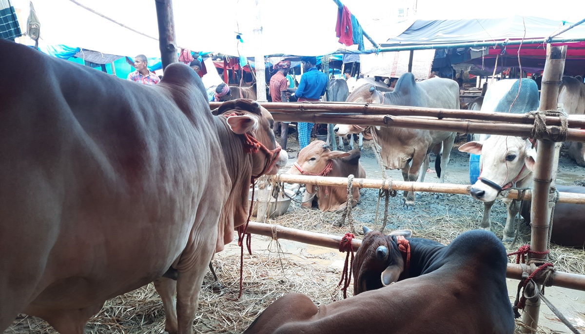 IMG_20250530_162343 IMG_20250530_162343