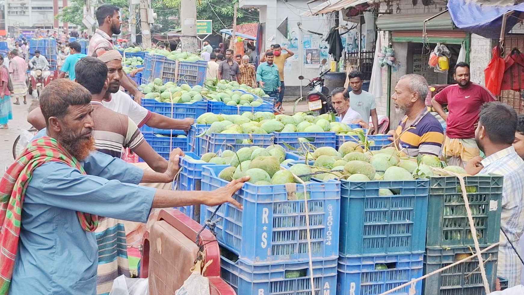 আমে ভরপুর বাজার, দাম কিছুটা বাড়লেও লোকসানের শঙ্কা