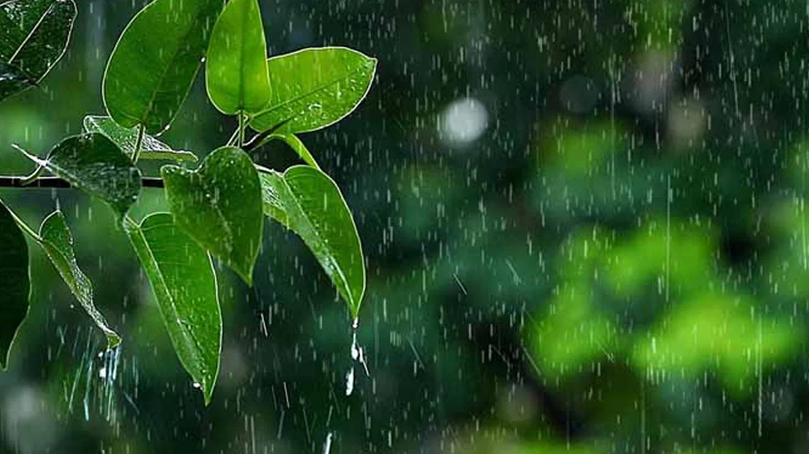 শুরু হলো বর্ষাকাল, টানা পাঁচদিন বৃষ্টির সম্ভাবনা
