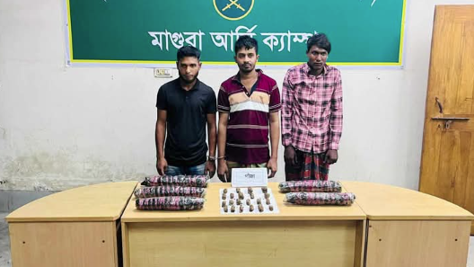 মাগুরায় ৩ কেজি গাজাসহ তিনজন আটক