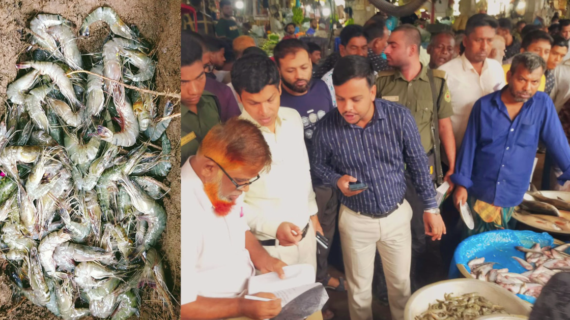 চিংড়িতে ক্ষতিকর জেলি পাওয়ায় মাছ বিক্রেতাকে জরিমানা