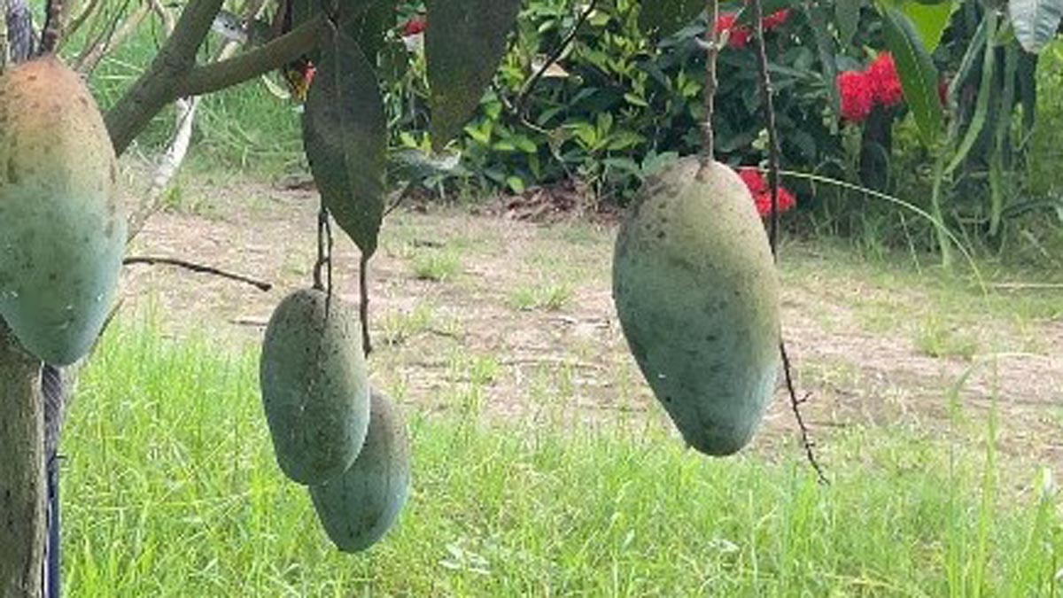 Screenshot_2025-06-25_103335 Screenshot_2025-06-25_103335