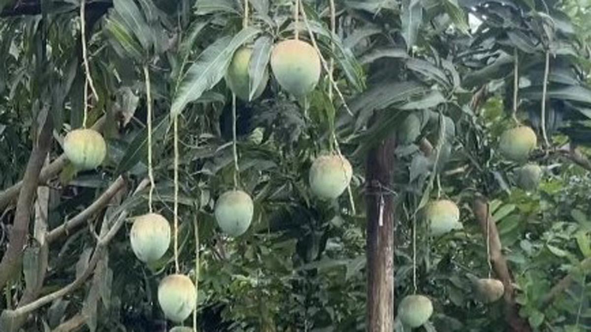 Screenshot_2025-06-25_103426 Screenshot_2025-06-25_103426