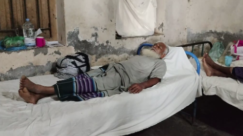 সাপে কাটা কৃষকের কাঁচির কোপে প্রাণ গেল রাসেলস ভাইপারের