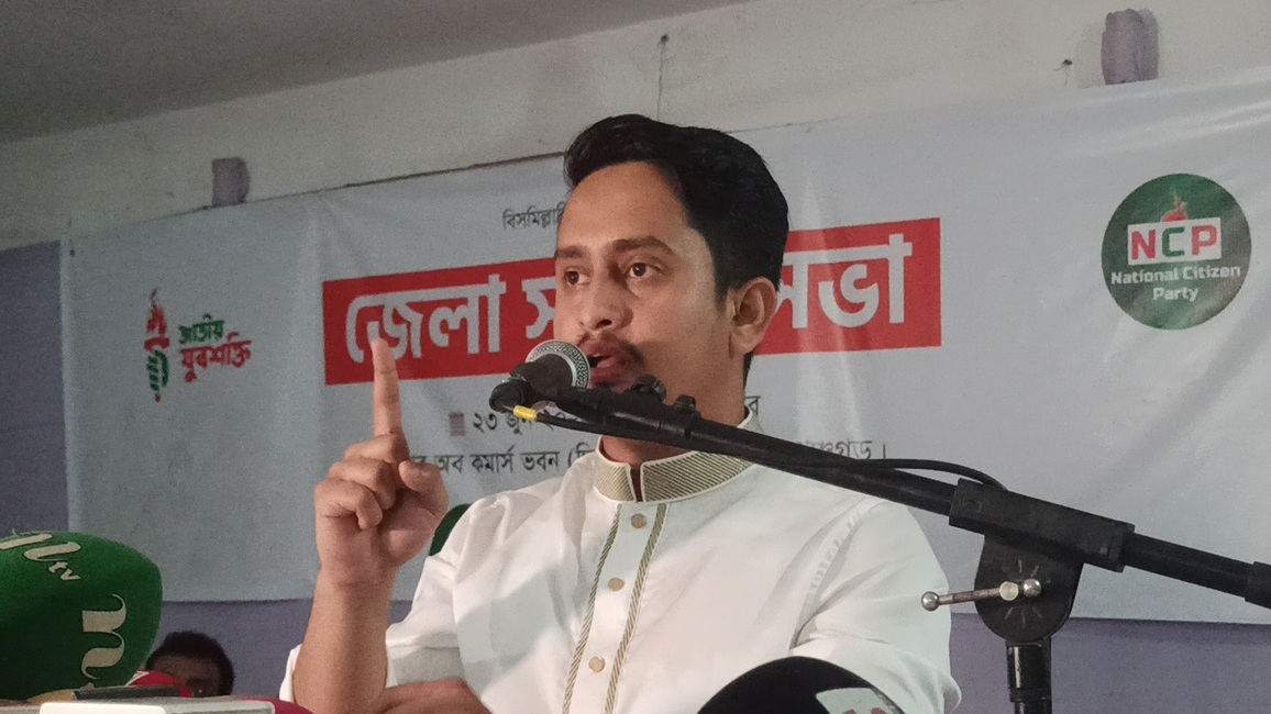 অন্তর্বর্তীকালীন সরকারকে দুর্বল হিসেবে দেখতে চাই না: সারজিস আলম