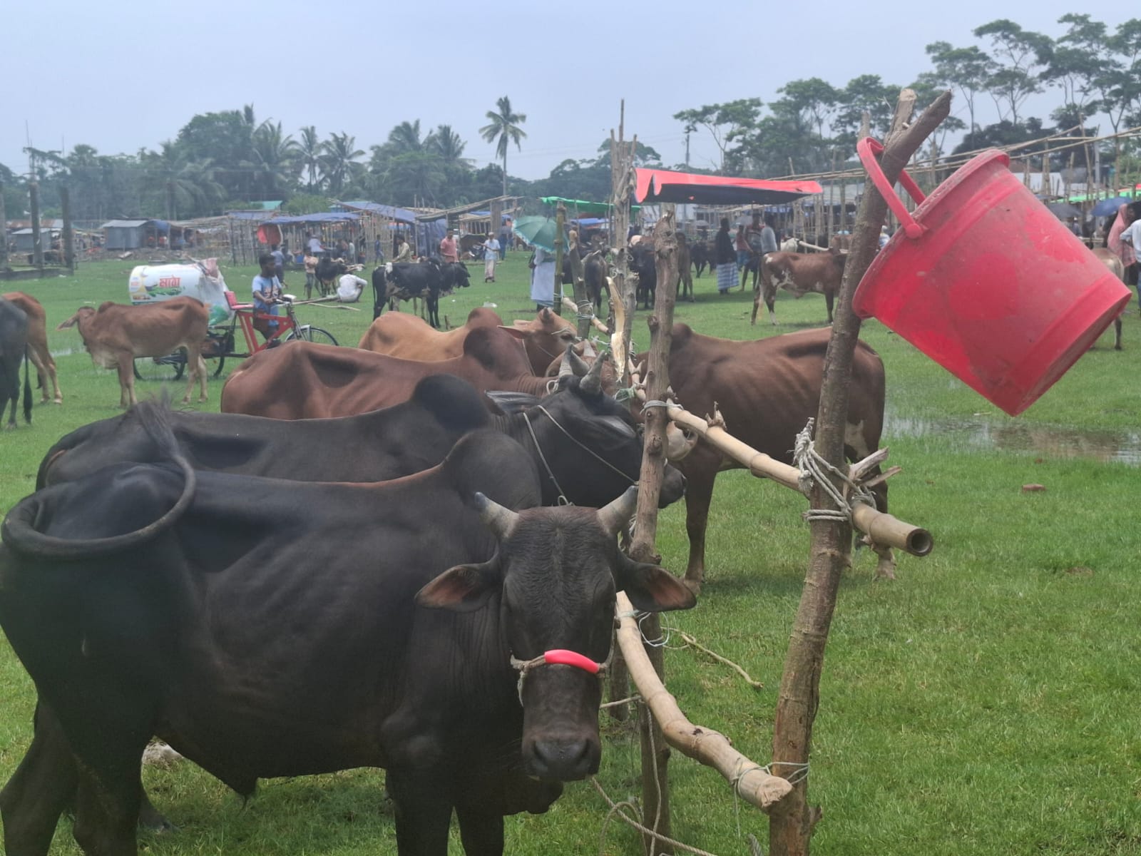 WhatsApp_Image_2025-06-03_at_6.10.24_PM_(2)