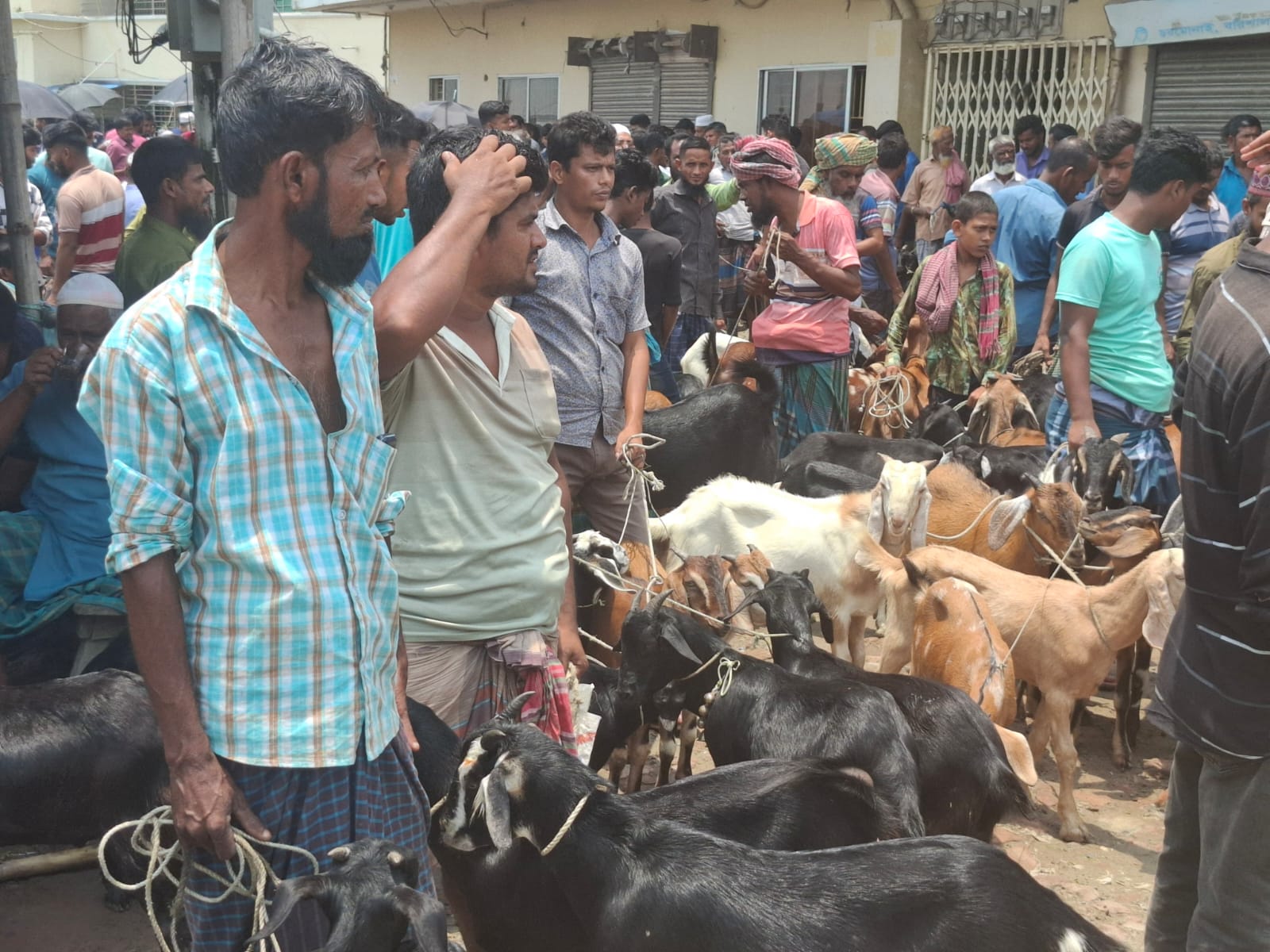 WhatsApp_Image_2025-06-03_at_6.10.25_PM WhatsApp_Image_2025-06-03_at_6.10.25_PM