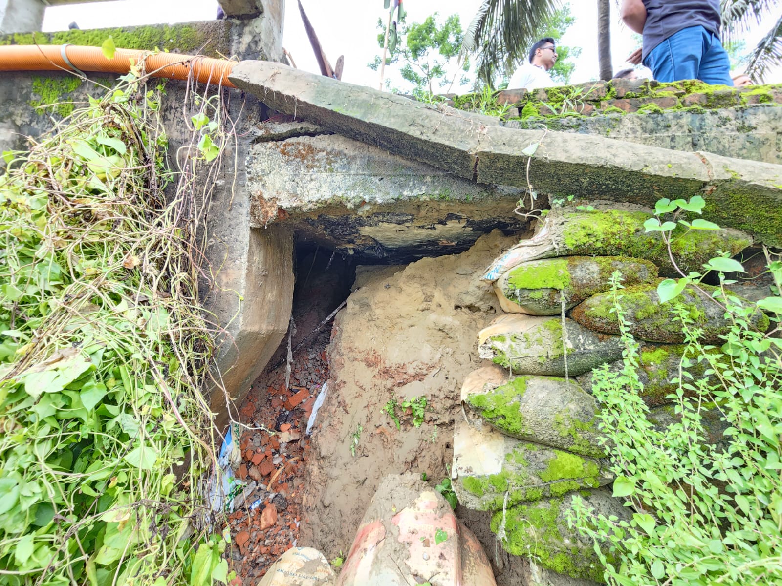 WhatsApp_Image_2025-06-19_at_5.10.07_PM WhatsApp_Image_2025-06-19_at_5.10.07_PM