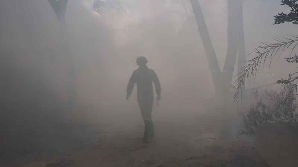 প্রত্যক্ষদর্শীর বর্ণনায় ভারতের বিমান বিধ্বস্তের ঘটনা