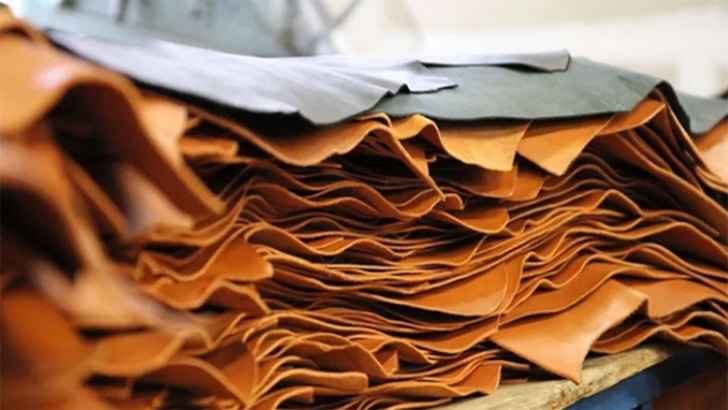 কোরবানির চামড়ার হক গরিবের, কিন্তু পাচ্ছে কারা?